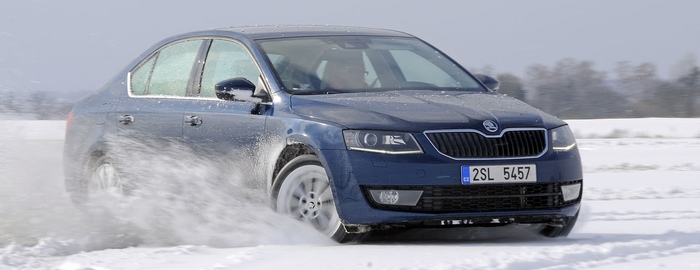 Вебасто на Skoda Octavia